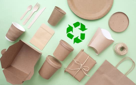 Contoh desain kartu nama minimalis 2025 dengan elemen ramah lingkungan, menggunakan kertas daur ulang dan tinta eco-friendly